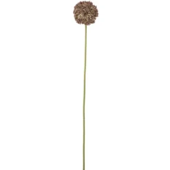 Bloomingville Allium Stiel, Braun, Künstliche Blume