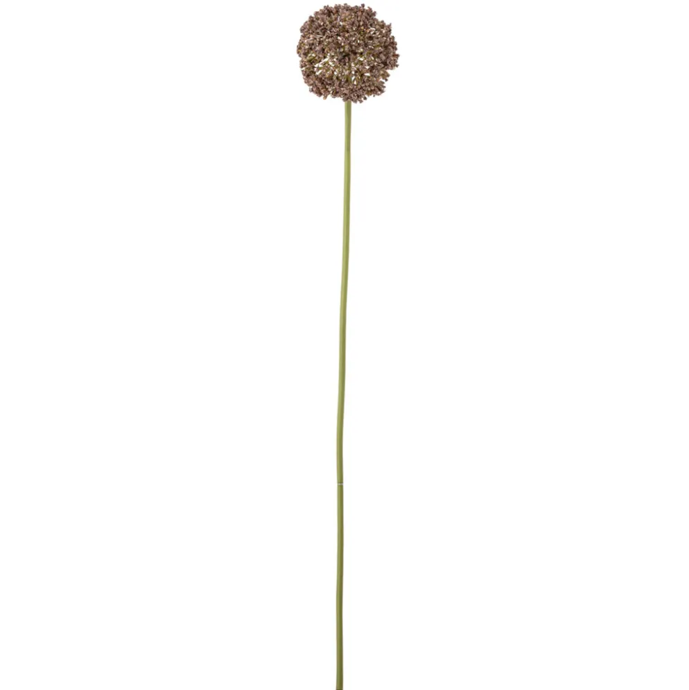 Bloomingville Allium Stiel, Braun, Künstliche Blume