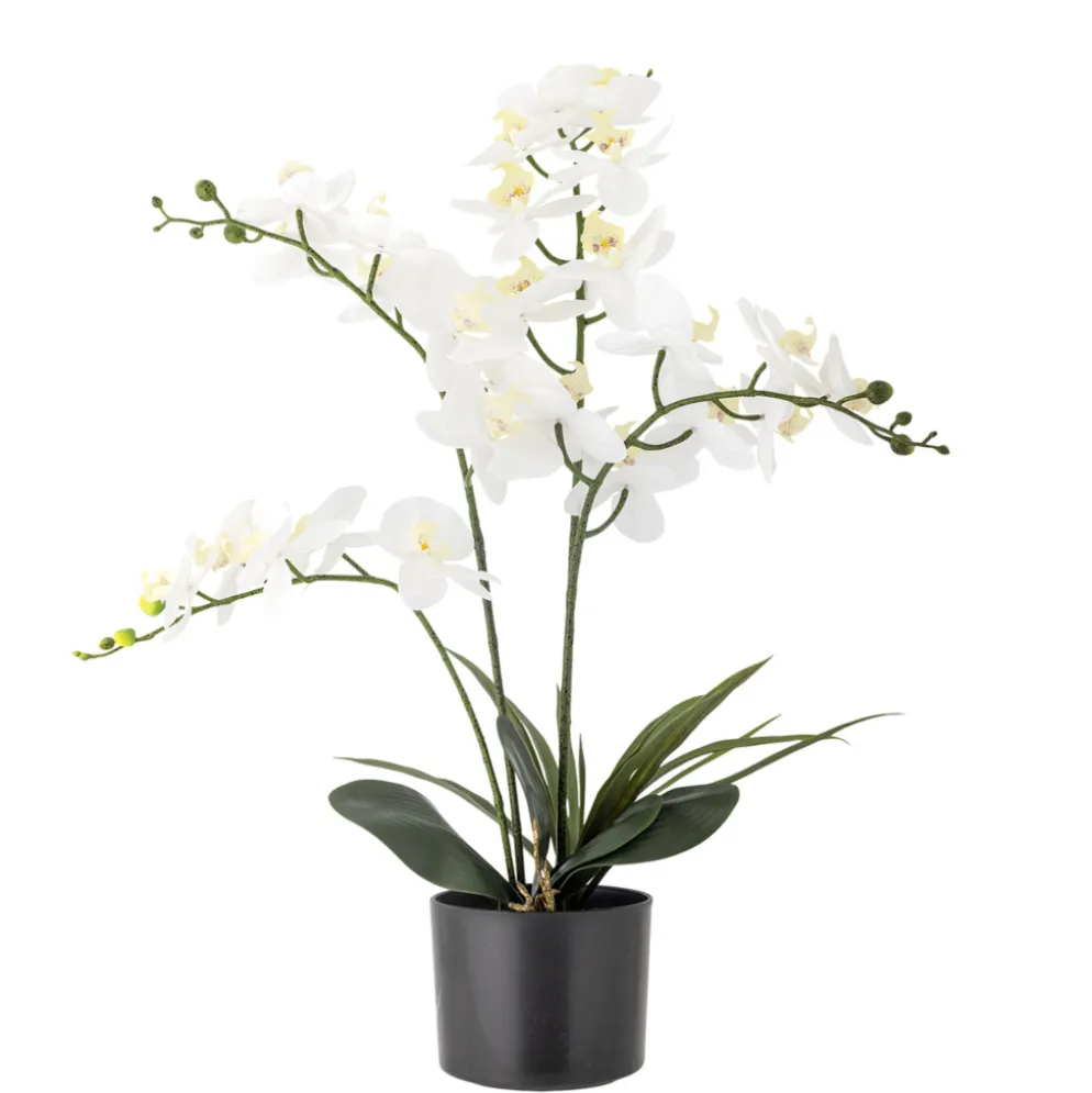 Bloomingville Künstliche Orchidee, Kunstblume