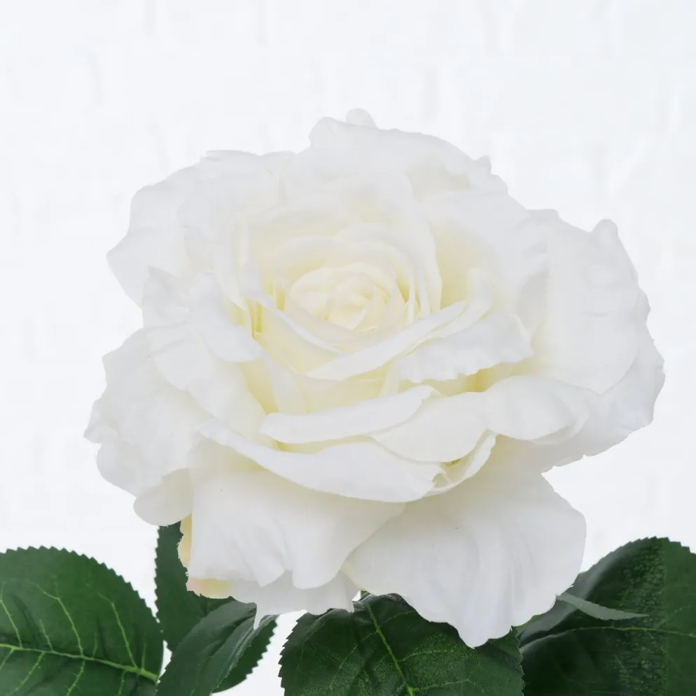Boltze Stielkunstblume Rose
