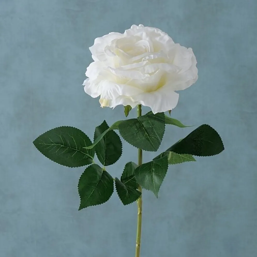 Boltze Stielkunstblume Rose