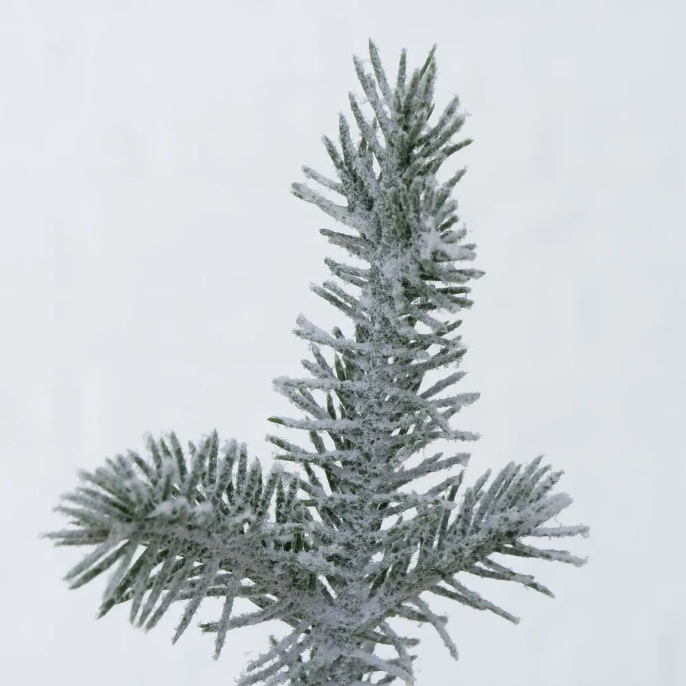 Boltze Weihnachtsbaum Mika