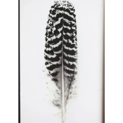Chic Antique Bild mit Federnmotiv und schwarzem Rahmen