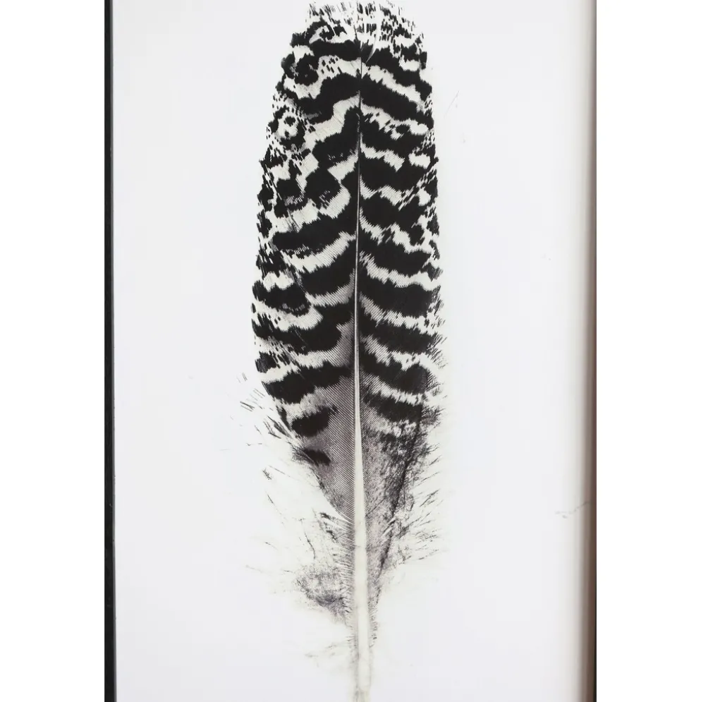 Chic Antique Bild mit Federnmotiv und schwarzem Rahmen