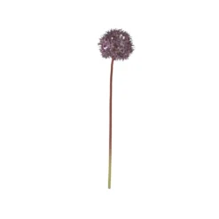 Chic Antique Fleur Allium