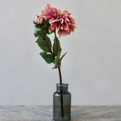 Chic Antique Fleur Dahlie