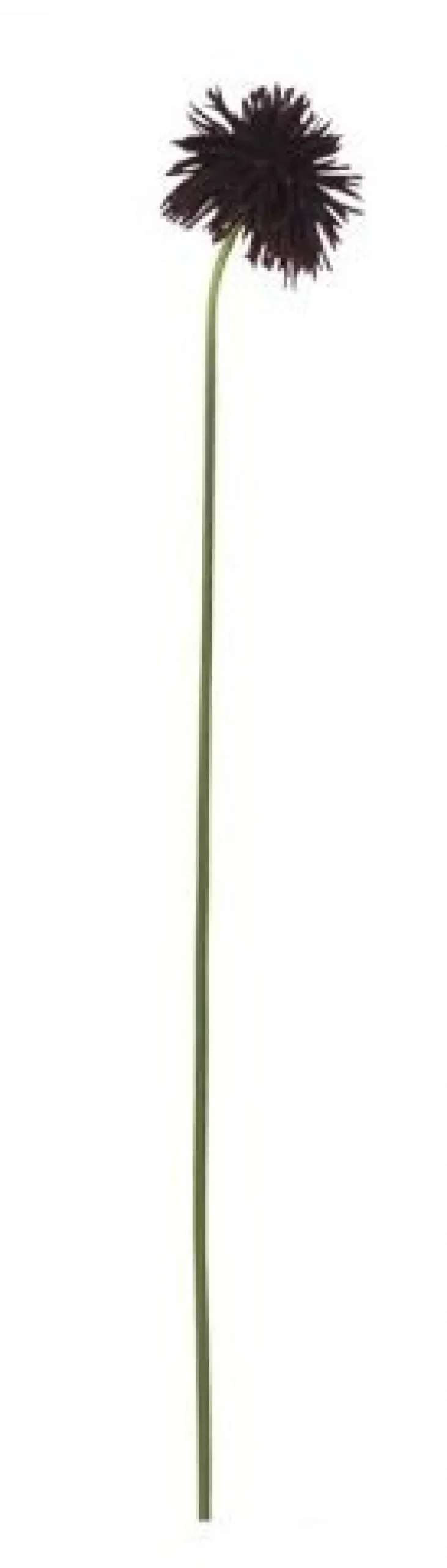 Chic Antique Fleur Dahlie bordeaux
