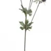 Chic Antique Fleur Distel 1