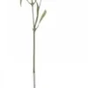 Chic Antique Fleur Distel 2