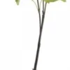 Chic Antique Fleur Echter Schneeball lime
