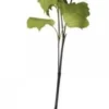 Chic Antique Fleur Echter Schneeball weiss