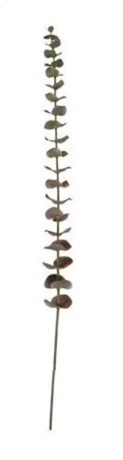 Chic Antique Fleur Eukalyptusblätter