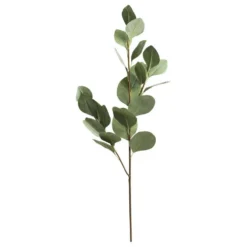 Chic Antique Fleur Eukalyptus Ast