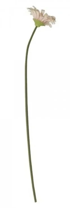 Chic Antique Fleur Gerbera