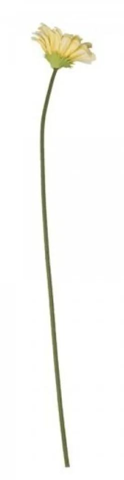 Chic Antique Fleur Gerbera