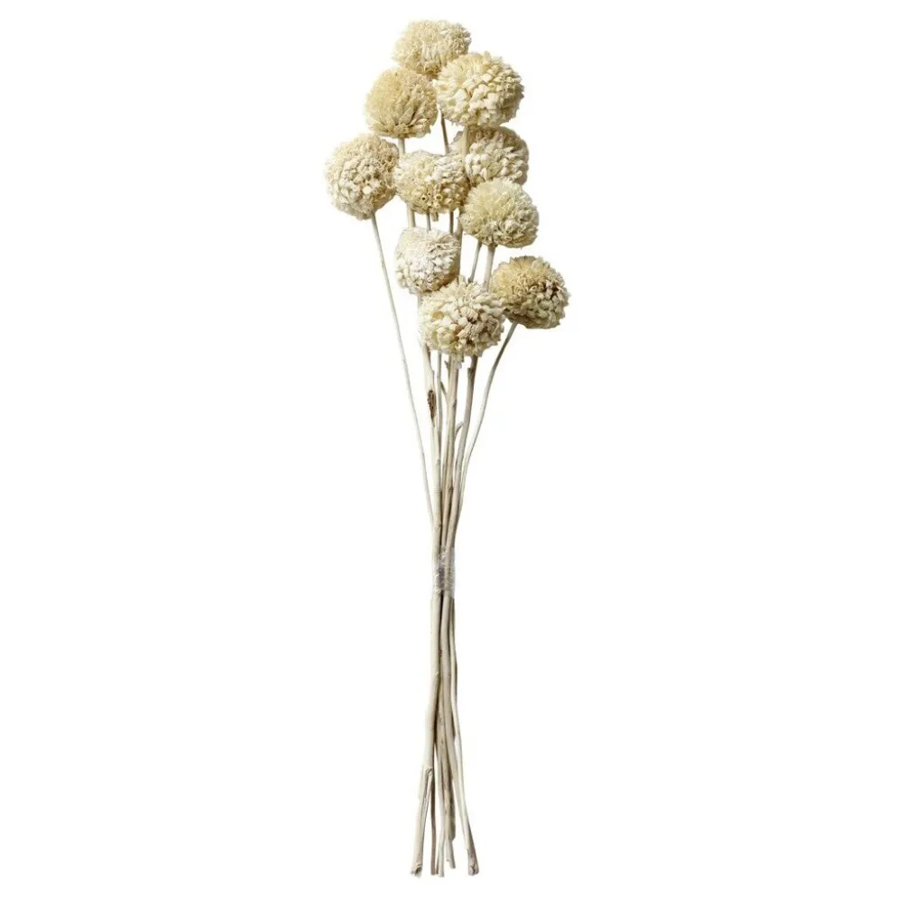 Chic Antique Fleur getrocknete Blumen im Strauß