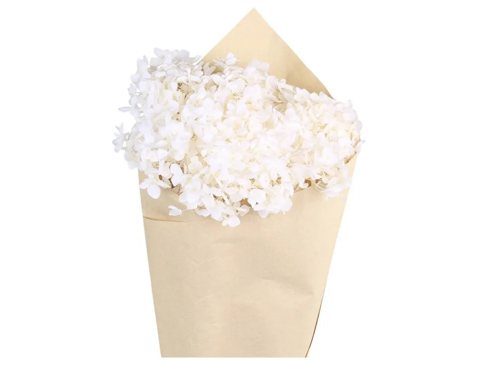 Chic Antique Fleur getrocknete Hortensie Blume