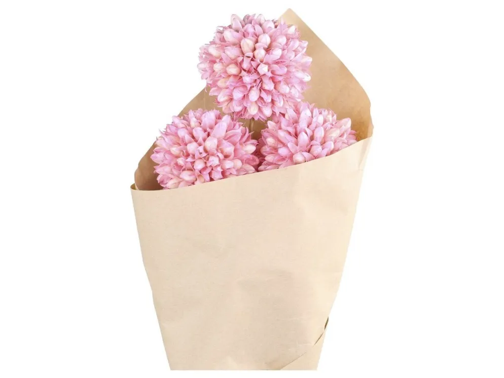 Chic Antique Fleur getrocknete Schneeball Blumen farbig