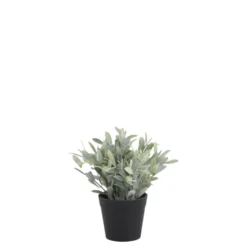 Chic Antique Fleur künstliche Pflanze Jojoba