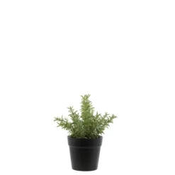 Chic Antique Fleur künstlicher Rosmarin Topf