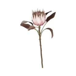 Chic Antique Fleur Kunstblume Protea