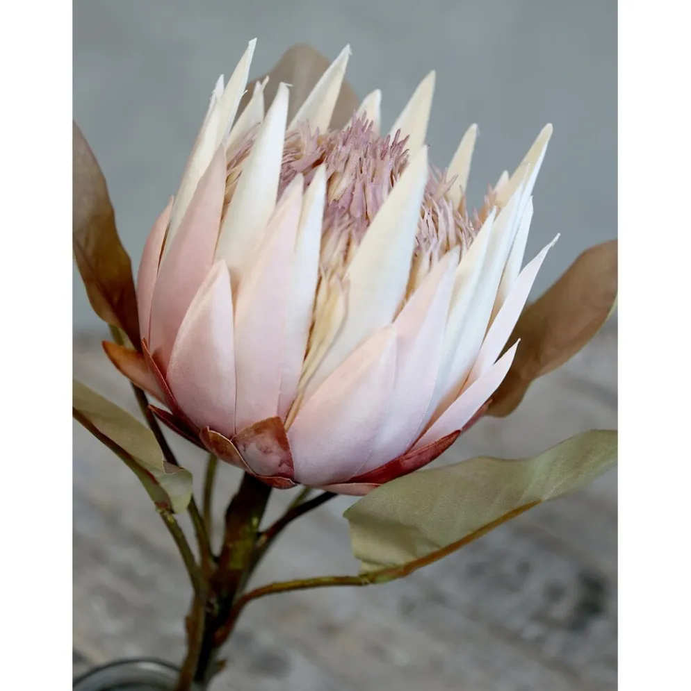 Chic Antique Fleur Kunstblume Protea