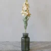 Chic Antique Fleur Löwenmäuler