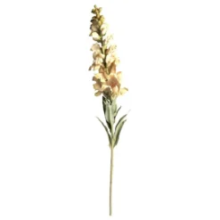 Chic Antique Fleur Löwenmäuler