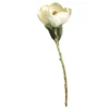 Chic Antique Fleur Magnolia