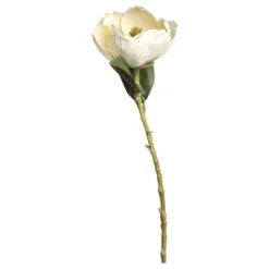 Chic Antique Fleur Magnolia