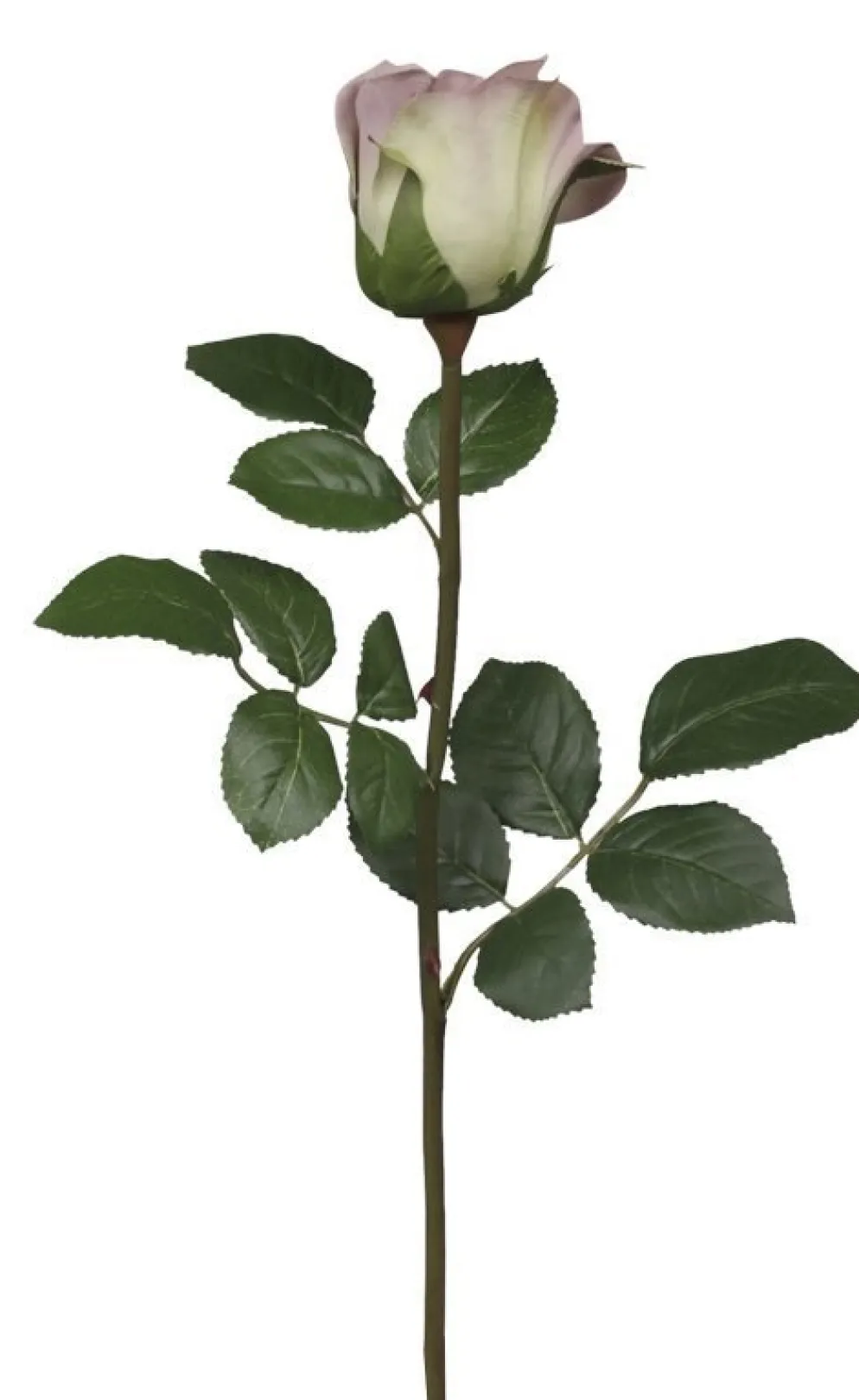 Chic Antique Fleur Rose lavendel