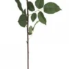 Chic Antique Fleur Rose rosa