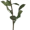 Chic Antique Fleur Rose weiß