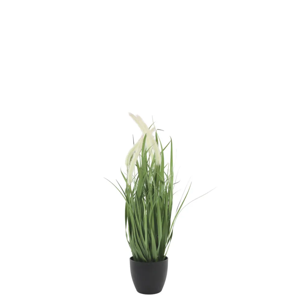 Chic Antique Fleur Schilfpflanze mit Fuchsschwänzen