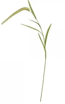 Chic Antique Fleur Stroh
