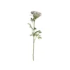 Chic Antique Fleur Wilde Möhre
