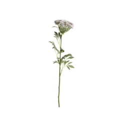 Chic Antique Fleur Wilde Möhre
