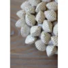Chic Antique Koralle mit Muscheln für Deko