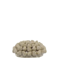 Chic Antique Koralle mit Muscheln für Deko