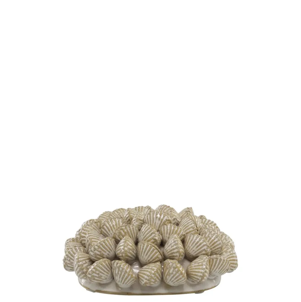 Chic Antique Koralle mit Muscheln für Deko