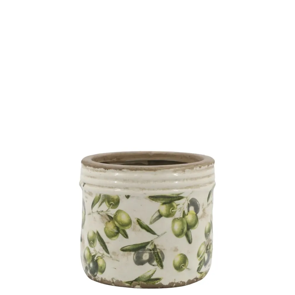 Chic Antique Olive Übertopf mit Rand, Olivenmuster