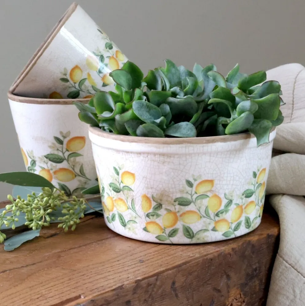 Chic Antique Pflanztopf Limone Blossom