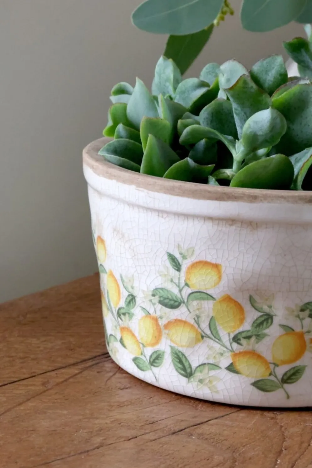 Chic Antique Pflanztopf Limone Blossom