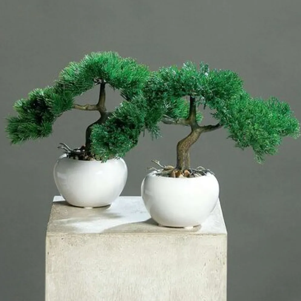dpi Künstlicher Bonsai im weißen Keramik Topf