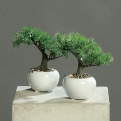 dpi Künstlicher Bonsai im weißen Keramik Topf