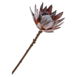 House Nordic King Protea Bouquet, Künstlilcher Blumenstrauß