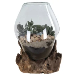 House Nordic San Marino Waterdrop Glas Schale auf kleinem Teakholz Ständer