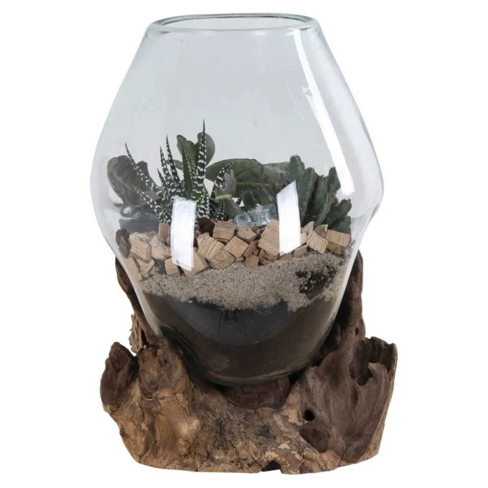 House Nordic San Marino Waterdrop Glas Schale auf kleinem Teakholz Ständer