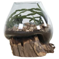 House Nordic San Marino Waterdrop Glas Schale auf kleinem Teakholz Ständer