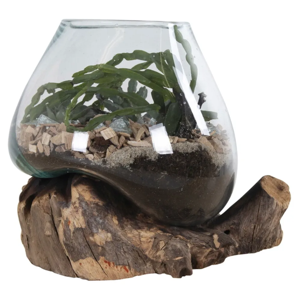House Nordic San Marino Waterdrop Glas Schale auf kleinem Teakholz Ständer